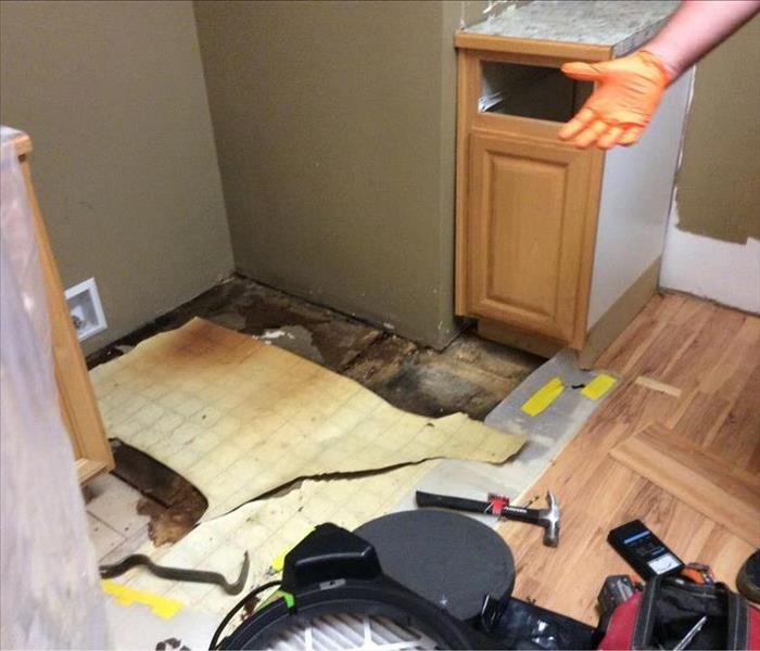 Kitchen with wet and moldy floor